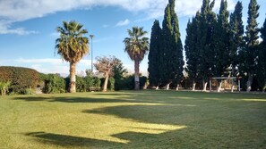 Terrain de sport