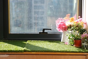 Vista desde la habitación