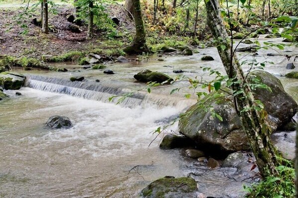 Stream