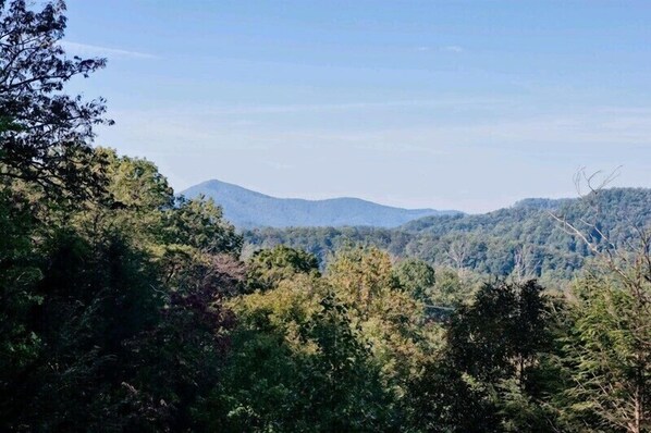 Mountain Dreams View