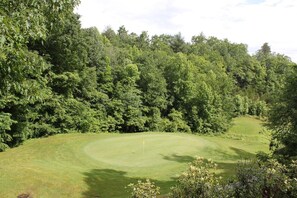 Back Deck View