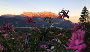 Untersberg im Sonnenaufgang