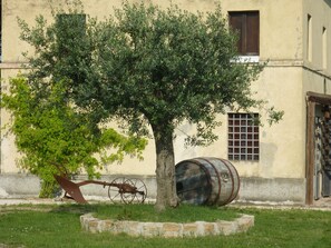 Farmhouse/Casale