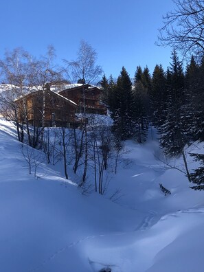 Deportes de invierno y ski