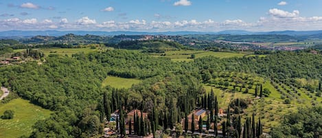 The Estate from above