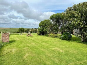 Extended Side Garden