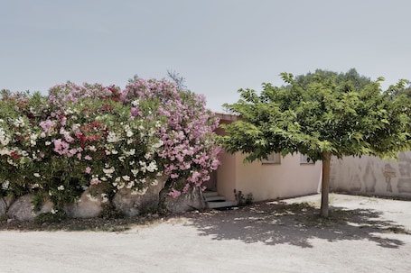 Petit jolie maison