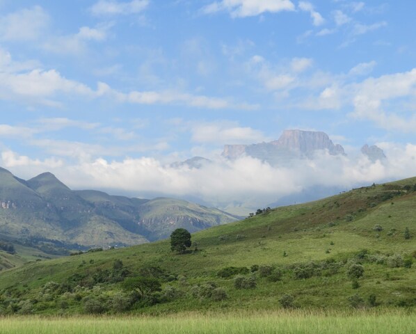 View from Orchard Manor