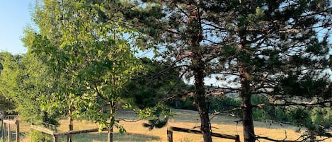 Terrain de l’hébergement 