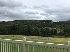 View off the deck looking over the valley 