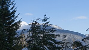 Scenic mountain views from the hot tub deck
