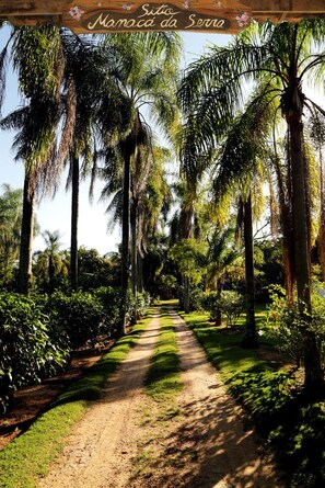 Terrenos do alojamento