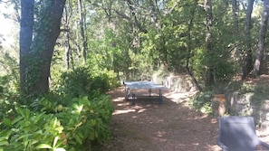 La table de ping-pong abrité sous les chênes