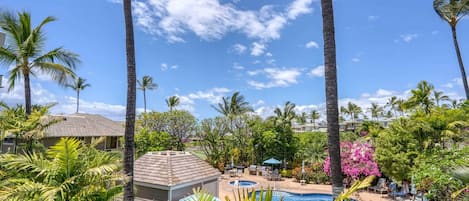 Pool view from Lanai