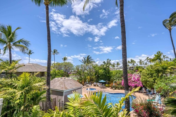 Pool view from Lanai