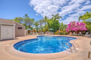 Adult pool and hot tub