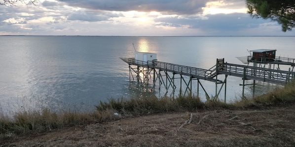 Oklassificerad bild, 1 av 11, knapp