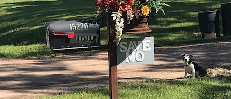 Welcome to SAVE,MO Cottage-
mailbox - Holly says, "Welcome and hello guest!"