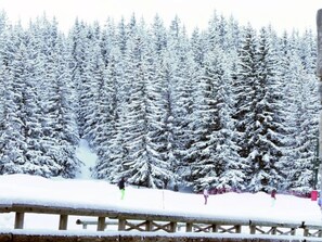 Snow and ski sports