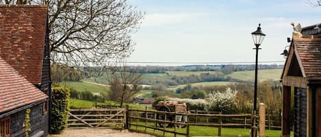 Views of the North Downs