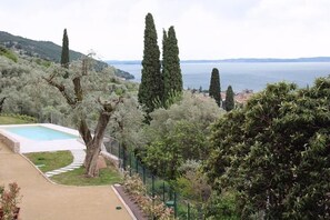 Piscina externa