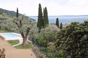 Piscina externa