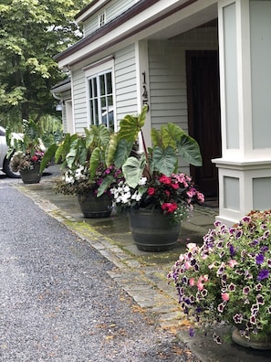 Entrance Planters