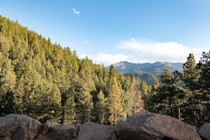 The view