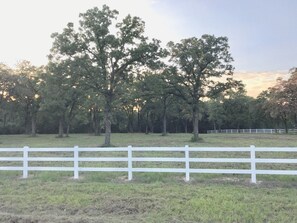 A lot of nice trees on this quite Bryan/College Station 15-acre Oasis Ranch!