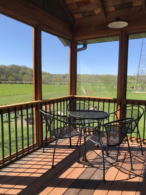 View from  inside screen porch