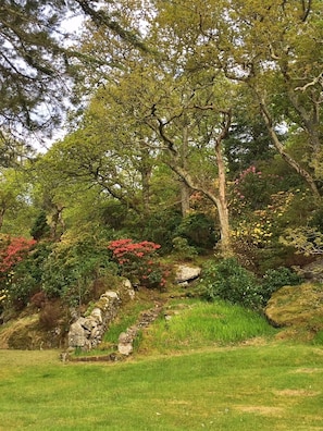 Terrain de l’hébergement 