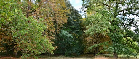 Overnatningsstedets område