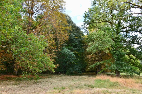 Boendeområde