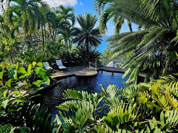 Onyx pool among lush greenery