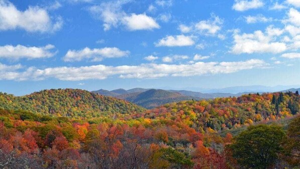 The views don't get better than this!