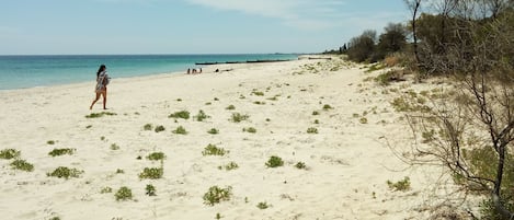 Beach in front of the home