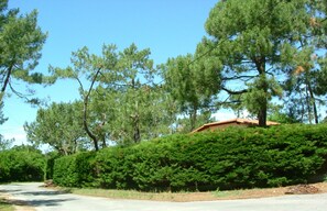 Jardines del alojamiento