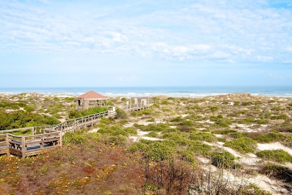 Search the dune from the walkway for the threatened Gopher Tortoise.