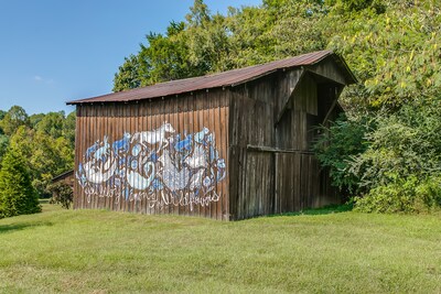 Wildflower Farm - Chic Countryside Leiper's Fork Retreat on 15 Acres with Pond