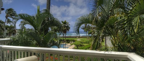 Views from your private lanai