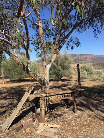 View from the cottage towards the Yourambulla Range