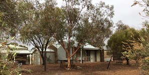 Looking towards the Cottage including verandah of cellar, homestead to the left 