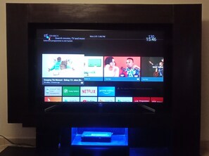 Fernseher