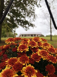  Central location: to bardstown bourbon trail, fishing lake , keeneland.  