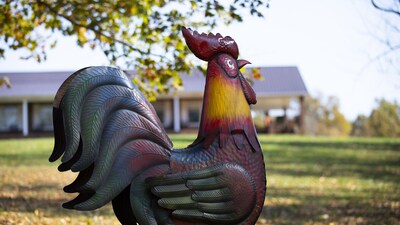  Central location: to bardstown bourbon trail, fishing lake , keeneland.  