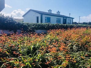 Udendørsområde