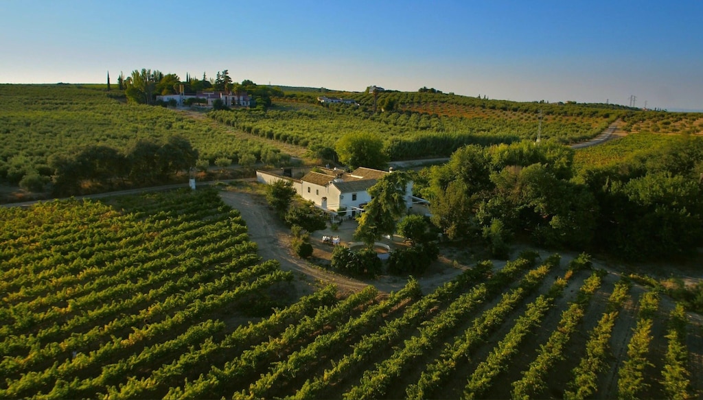 Picture of villa