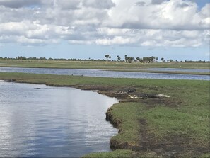 Unclassified image, 4 of 8, button