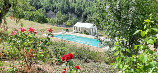 Swimming pool view