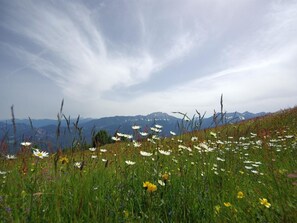 Almhotel Fichtenheim